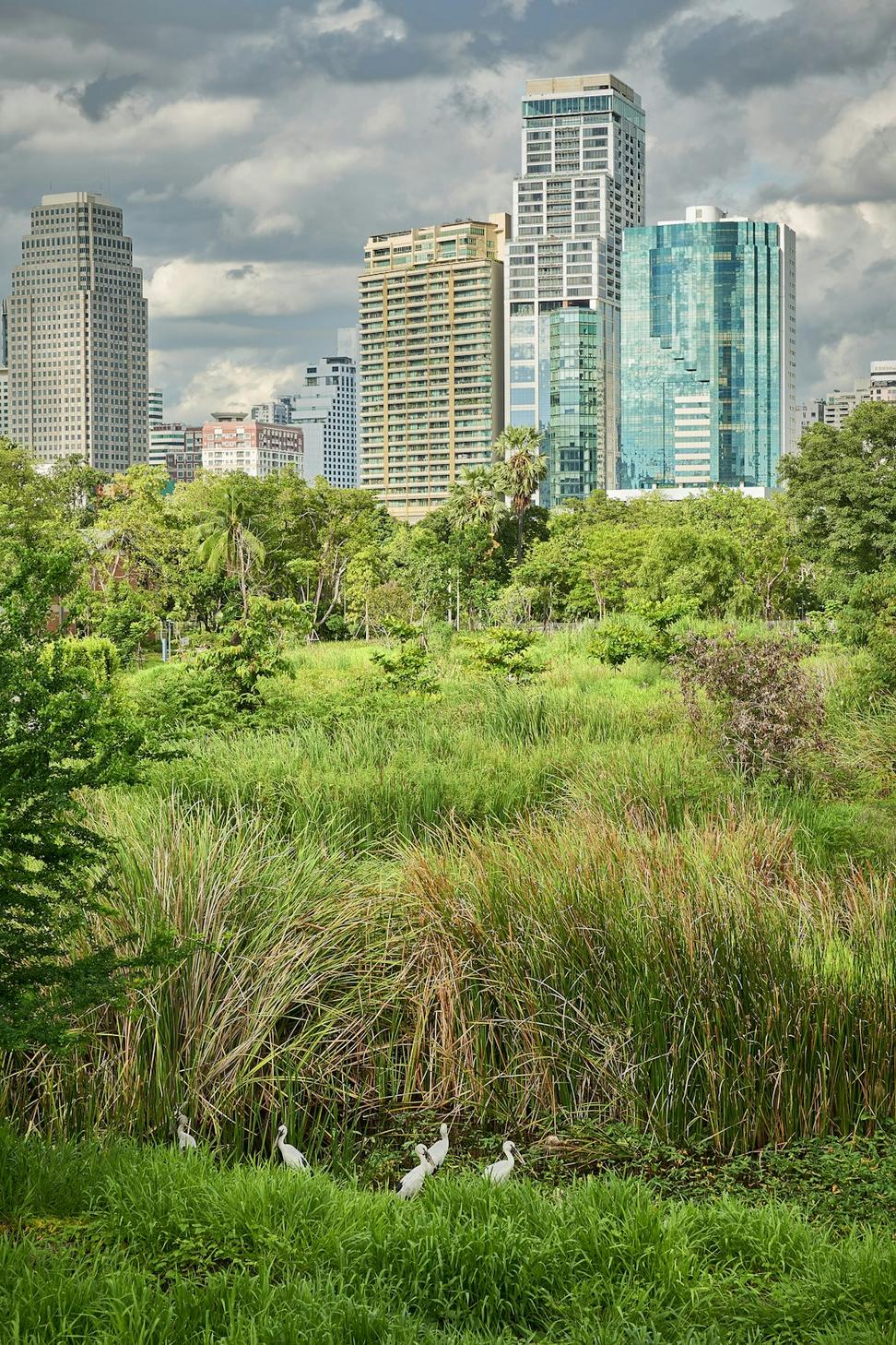 Urban Development